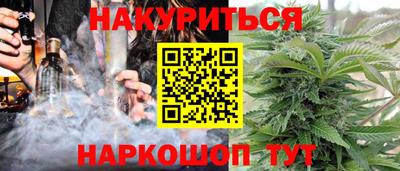дмт Аргун