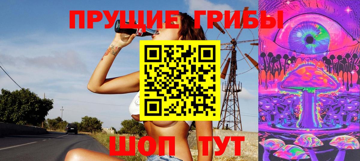 Галлюциногенные грибы Psilocybine cubensis Балаково