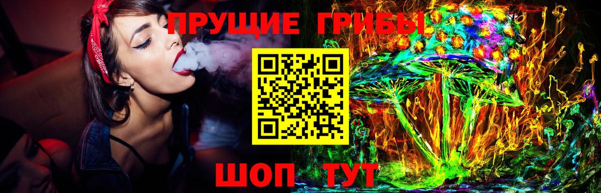 Балаково  Галлюциногенные грибы мицелий  Вход с VPN  Псилоцибиновые грибы Psilocybe 
